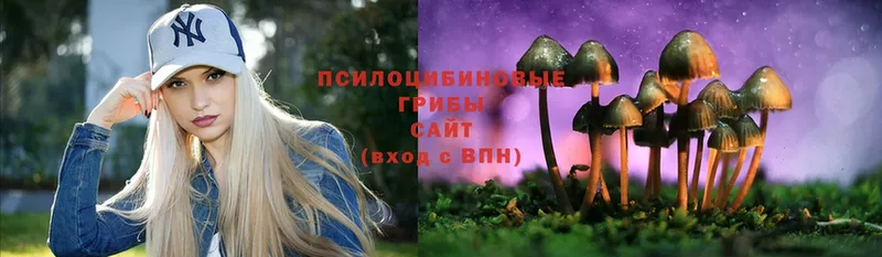 Галлюциногенные грибы MAGIC MUSHROOMS  ОМГ ОМГ маркетплейс  Алупка 